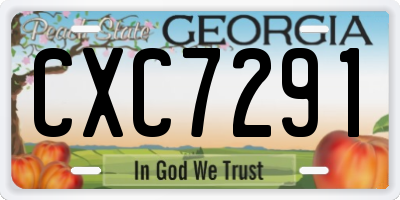 GA license plate CXC7291