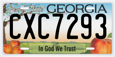 GA license plate CXC7293
