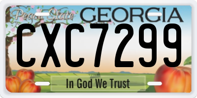 GA license plate CXC7299