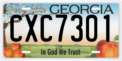 GA license plate CXC7301