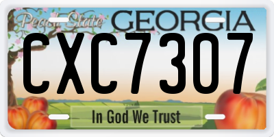 GA license plate CXC7307