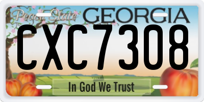 GA license plate CXC7308