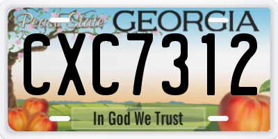 GA license plate CXC7312