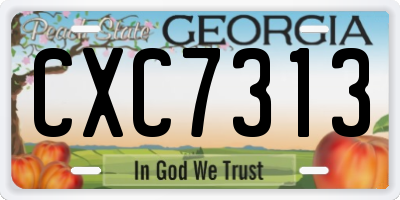 GA license plate CXC7313