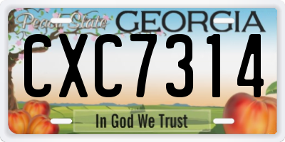GA license plate CXC7314