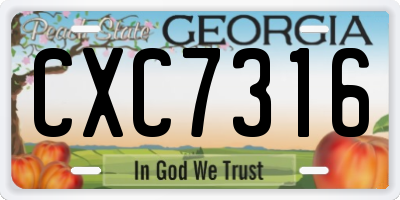 GA license plate CXC7316