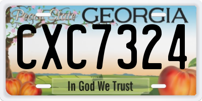 GA license plate CXC7324
