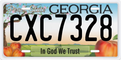 GA license plate CXC7328