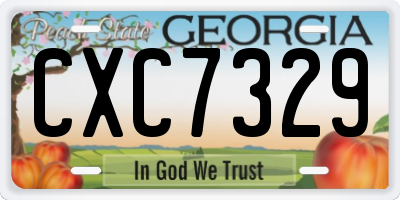 GA license plate CXC7329