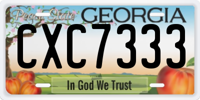 GA license plate CXC7333