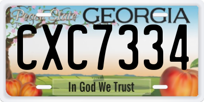 GA license plate CXC7334