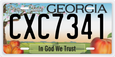 GA license plate CXC7341