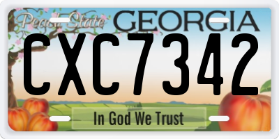 GA license plate CXC7342