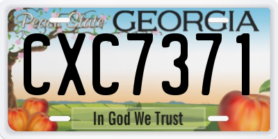GA license plate CXC7371