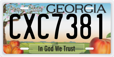 GA license plate CXC7381