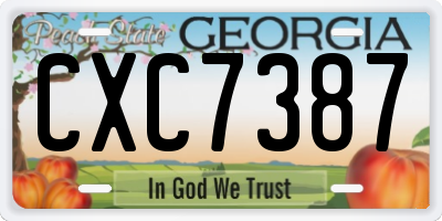 GA license plate CXC7387