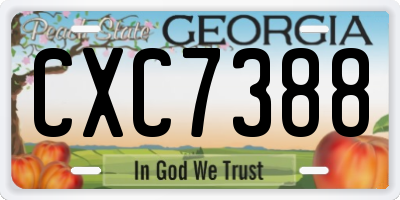 GA license plate CXC7388