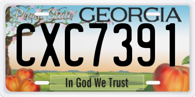 GA license plate CXC7391