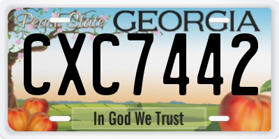 GA license plate CXC7442