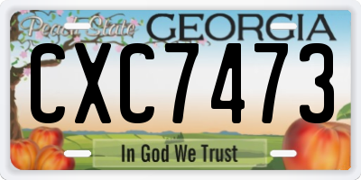 GA license plate CXC7473