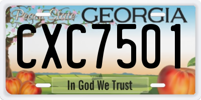 GA license plate CXC7501