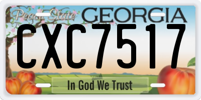 GA license plate CXC7517