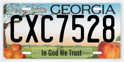 GA license plate CXC7528