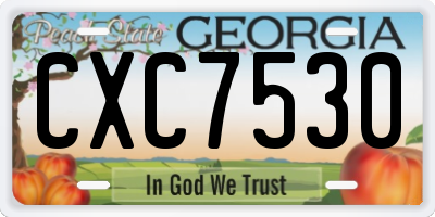 GA license plate CXC7530