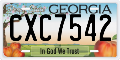 GA license plate CXC7542