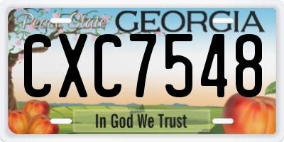GA license plate CXC7548