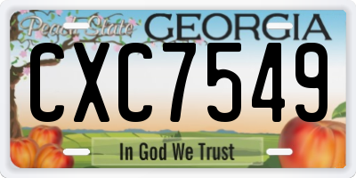 GA license plate CXC7549