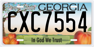 GA license plate CXC7554