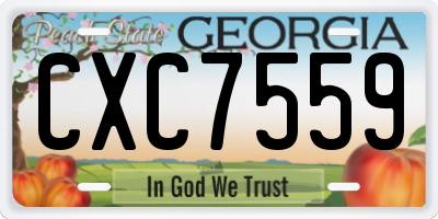 GA license plate CXC7559