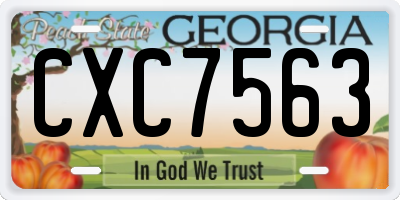 GA license plate CXC7563