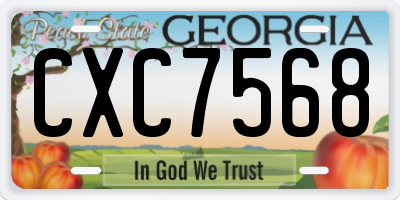GA license plate CXC7568