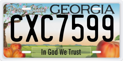 GA license plate CXC7599