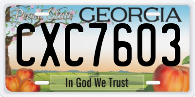 GA license plate CXC7603