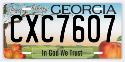 GA license plate CXC7607