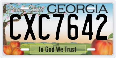 GA license plate CXC7642