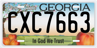 GA license plate CXC7663