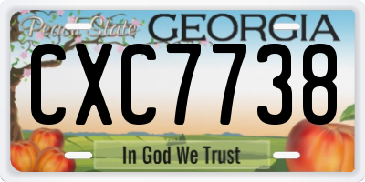 GA license plate CXC7738