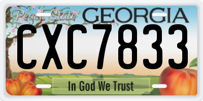 GA license plate CXC7833