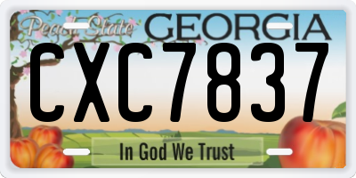 GA license plate CXC7837