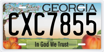 GA license plate CXC7855