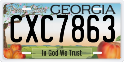 GA license plate CXC7863