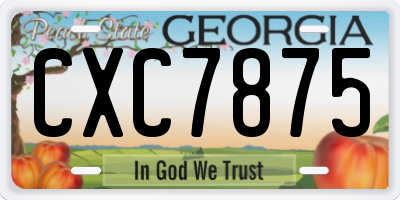 GA license plate CXC7875