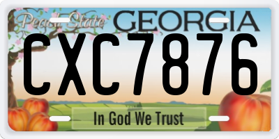 GA license plate CXC7876