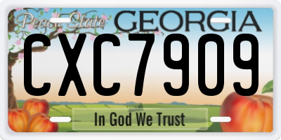 GA license plate CXC7909