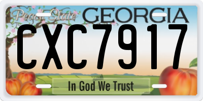 GA license plate CXC7917