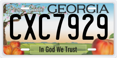 GA license plate CXC7929